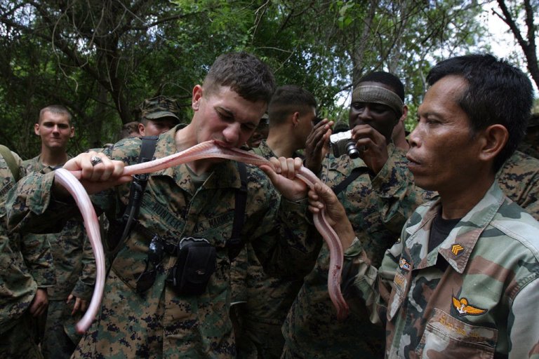 Incredible photos of US Marines learning how to survive in the jungle during one of Asia’s biggest military exercises