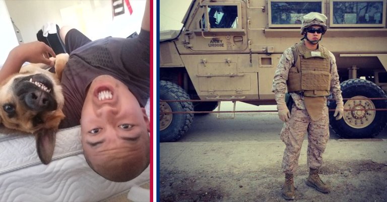 Dog Chow is helping rescue dogs find homes with American veterans