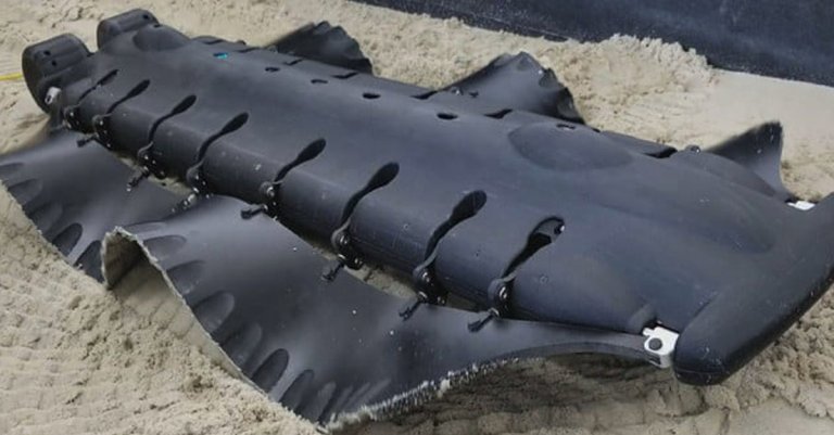 This amazing robot could be the future of amphibious drones